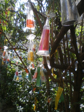 Arbre à souhaits - Photo : G. Brame