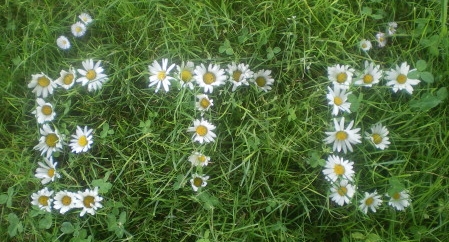 Eté écrit avec des marguerites - Photo : G. Brame