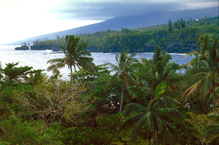 Ile de la Réunion - Photo : F; de la Mure, MAEE