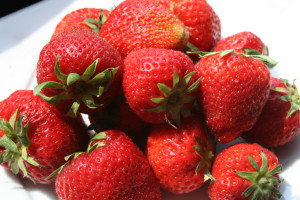 fraises fraises