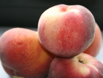 Pêches - Photo : M. Déchelette