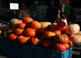 Citrouilles - Photo : M. Déchelette