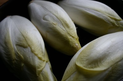 Endives - Photo : M. Déchelette