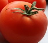 Tomate - Photo : M. Déchelette