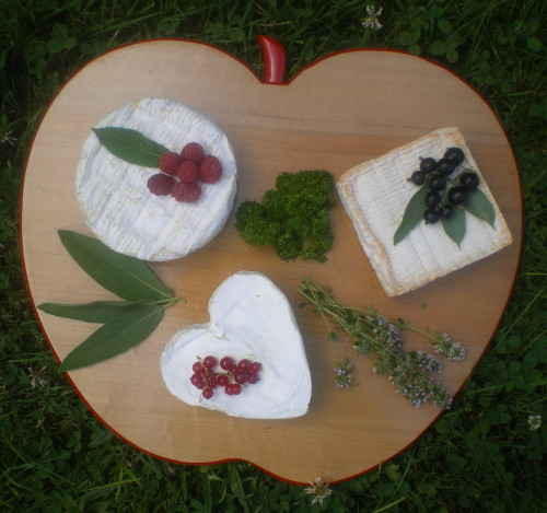 Plateau de fromages - Photo : G. Brame