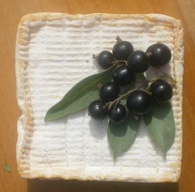 Pont-Lévêque - Photo : G. Brame